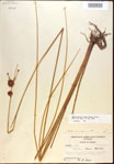 000021921-thumbnail.jpg