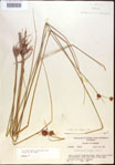 000021922-thumbnail.jpg