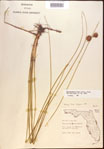 000021923-thumbnail.jpg