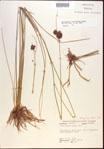 000021924-thumbnail.jpg
