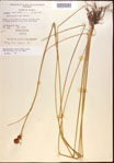 000021925-thumbnail.jpg