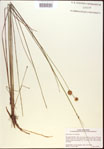 000021926-thumbnail.jpg