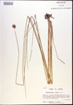 000021927-thumbnail.jpg