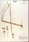 000021928-thumbnail.jpg