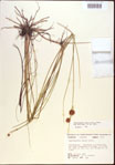 000021930-thumbnail.jpg