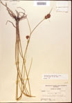 000021933-thumbnail.jpg