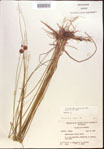 000021935-thumbnail.jpg