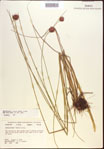 000021936-thumbnail.jpg