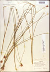 000021937-thumbnail.jpg