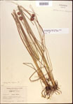 000021939-thumbnail.jpg