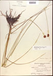 000021940-thumbnail.jpg