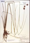 000021941-thumbnail.jpg