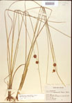 000021942-thumbnail.jpg