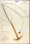 000021943-thumbnail.jpg
