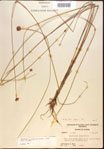 000021944-thumbnail.jpg