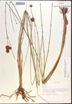 000021946-thumbnail.jpg