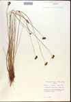 000021948-thumbnail.jpg