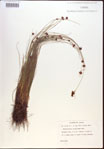 000021949-thumbnail.jpg