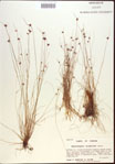000021950-thumbnail.jpg