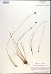 000021951-thumbnail.jpg