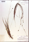 000021952-thumbnail.jpg