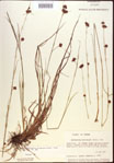 000021954-thumbnail.jpg