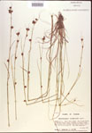 000021955-thumbnail.jpg