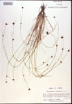 000021956-thumbnail.jpg