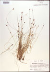 000021957-thumbnail.jpg