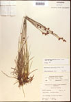 000021958-thumbnail.jpg