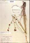 000021959-thumbnail.jpg