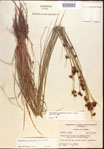 000021961-thumbnail.jpg
