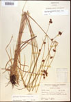 000021962-thumbnail.jpg