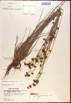 000021963-thumbnail.jpg