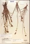 000021964-thumbnail.jpg