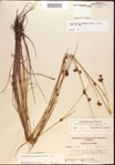 000021965-thumbnail.jpg
