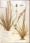 000021966-thumbnail.jpg