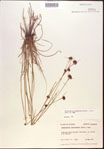 000021967-thumbnail.jpg