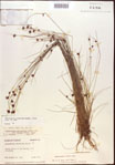 000021968-thumbnail.jpg