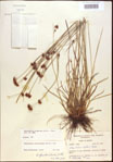 000021969-thumbnail.jpg