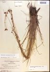 000021970-thumbnail.jpg