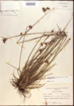 000021971-thumbnail.jpg