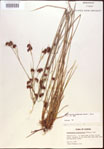 000021972-thumbnail.jpg