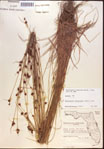 000021973-thumbnail.jpg