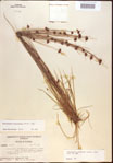000021974-thumbnail.jpg