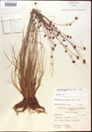 000021975-thumbnail.jpg