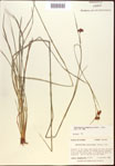 000021976-thumbnail.jpg