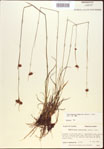 000021977-thumbnail.jpg