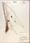 000021978-thumbnail.jpg