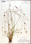 000021979-thumbnail.jpg